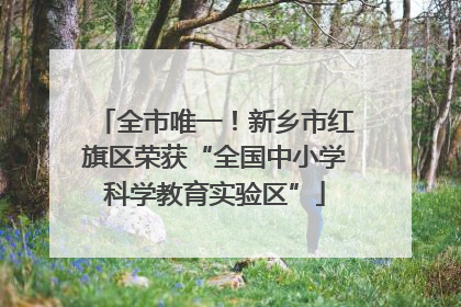 全市唯一！新乡市红旗区荣获“全国中小学科学教育实验区”
