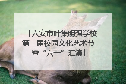 六安市叶集明强学校第一届校园文化艺术节暨“六一”汇演