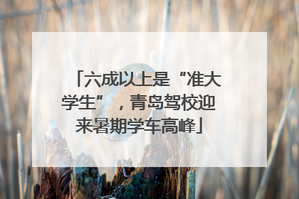 六成以上是“准大学生”，青岛驾校迎来暑期学车高峰