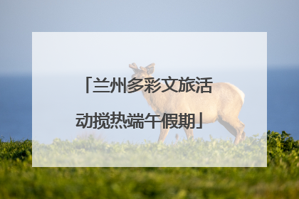 兰州多彩文旅活动搅热端午假期