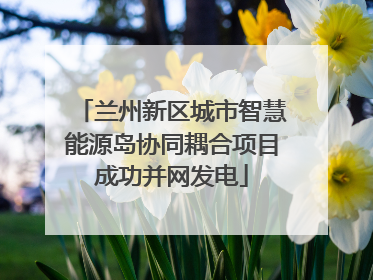 兰州新区城市智慧能源岛协同耦合项目成功并网发电