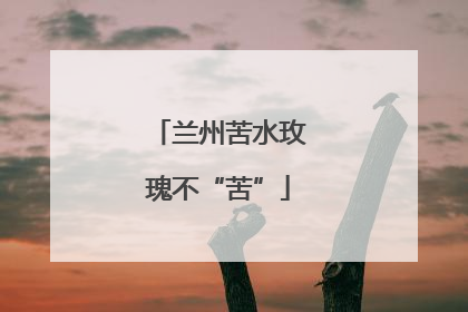 兰州苦水玫瑰不“苦”