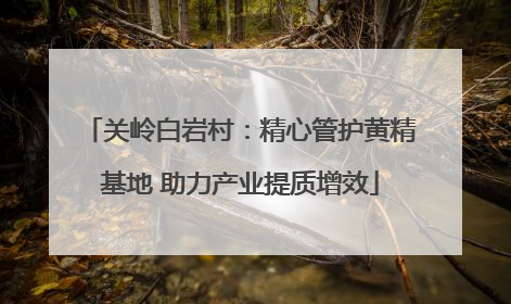 关岭白岩村：精心管护黄精基地 助力产业提质增效