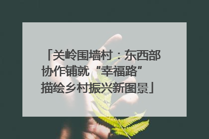 关岭围墙村：东西部协作铺就“幸福路” 描绘乡村振兴新图景