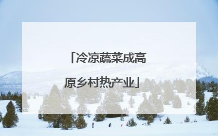 冷凉蔬菜成高原乡村热产业