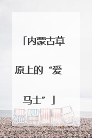 内蒙古草原上的“爱马士”