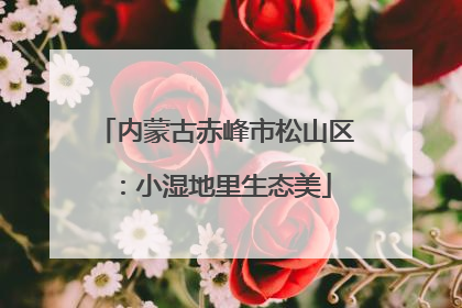 内蒙古赤峰市松山区：小湿地里生态美
