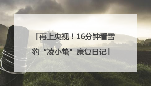 再上央视！16分钟看雪豹“凌小蛰”康复日记
