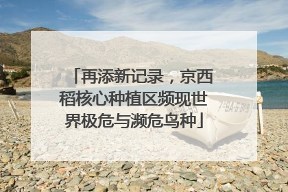 再添新记录，京西稻核心种植区频现世界极危与濒危鸟种