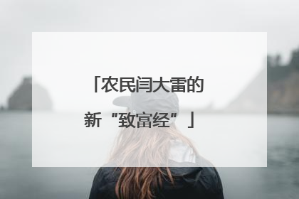 农民闫大雷的新“致富经”