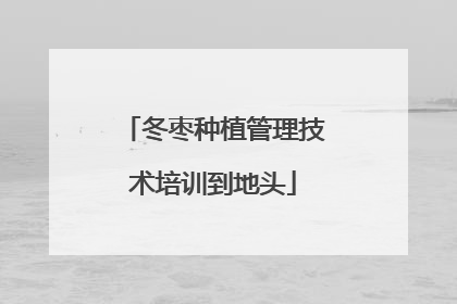 冬枣种植管理技术培训到地头