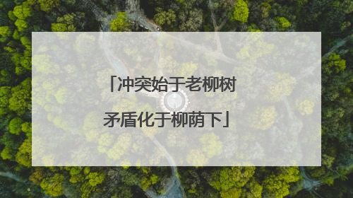 冲突始于老柳树 矛盾化于柳荫下