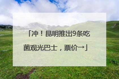 冲！昆明推出9条吃菌观光巴士，票价→