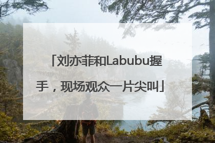 刘亦菲和Labubu握手，现场观众一片尖叫