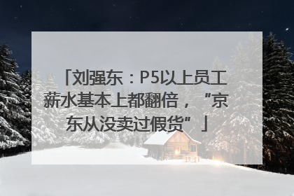 刘强东：P5以上员工薪水基本上都翻倍，“京东从没卖过假货”