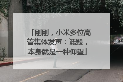 刚刚，小米多位高管集体发声：诋毁，本身就是一种仰望