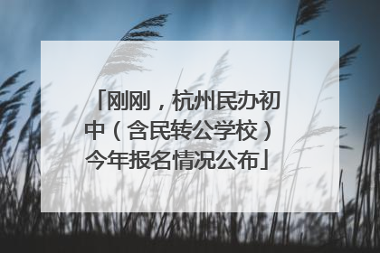 刚刚，杭州民办初中（含民转公学校）今年报名情况公布