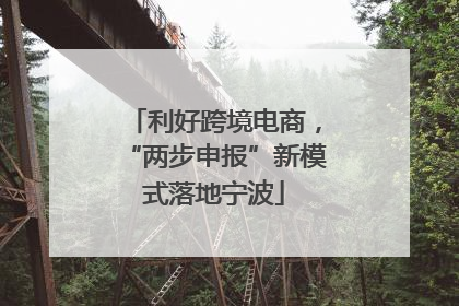 利好跨境电商，“两步申报”新模式落地宁波