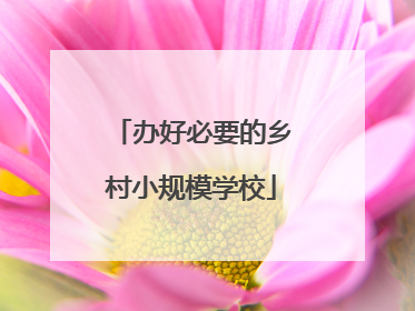 办好必要的乡村小规模学校