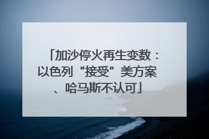 加沙停火再生变数：以色列“接受”美方案、哈马斯不认可