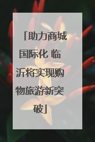助力商城国际化 临沂将实现购物旅游新突破