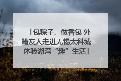 包粽子、做香包 外籍友人走进无锡太科城体验湖湾“趣”生活