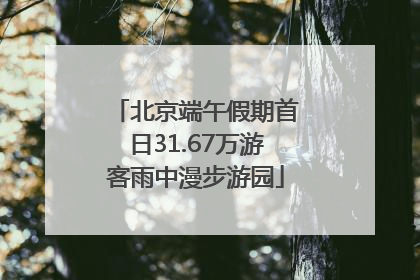 北京端午假期首日31.67万游客雨中漫步游园