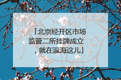 北京经开区市场监管二所挂牌成立，就在瀛海这儿