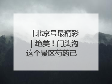 北京号最精彩｜绝美！门头沟这个景区芍药已花开成海