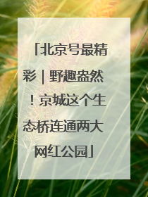 北京号最精彩｜野趣盎然！京城这个生态桥连通两大网红公园