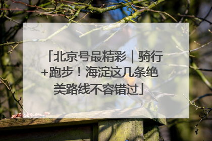 北京号最精彩｜骑行+跑步！海淀这几条绝美路线不容错过