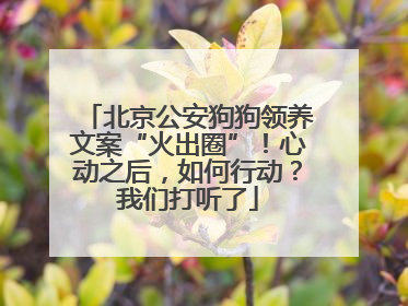 北京公安狗狗领养文案“火出圈”！心动之后，如何行动？我们打听了