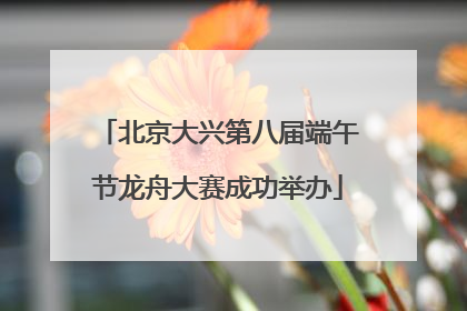 北京大兴第八届端午节龙舟大赛成功举办