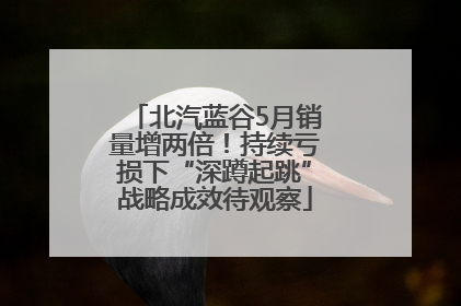 北汽蓝谷5月销量增两倍！持续亏损下“深蹲起跳”战略成效待观察