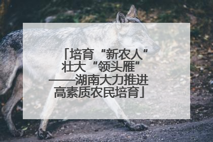 培育“新农人” 壮大“领头雁”——湖南大力推进高素质农民培育