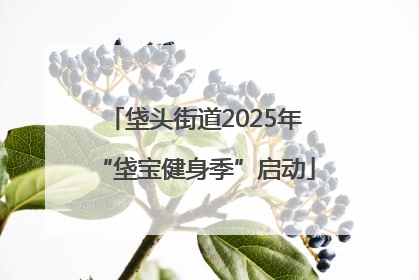 垡头街道2025年“垡宝健身季”启动