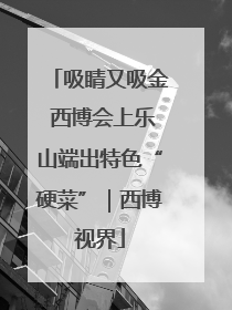 吸睛又吸金 西博会上乐山端出特色“硬菜”｜西博视界