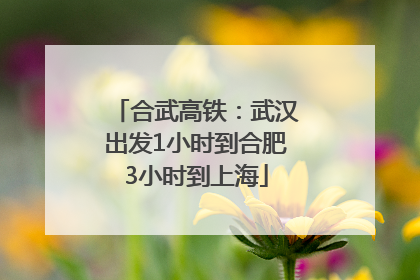 合武高铁：武汉出发1小时到合肥3小时到上海