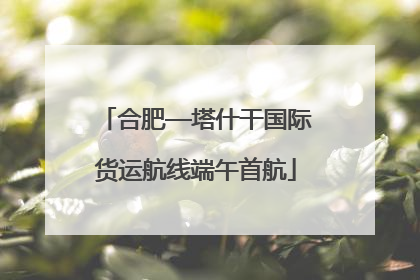 合肥—塔什干国际货运航线端午首航