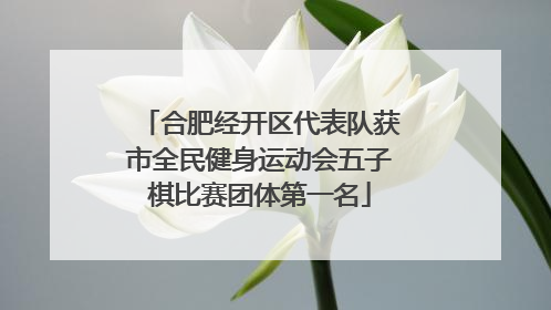 合肥经开区代表队获市全民健身运动会五子棋比赛团体第一名