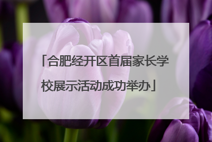 合肥经开区首届家长学校展示活动成功举办