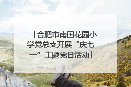 合肥市南国花园小学党总支开展“庆七一”主题党日活动