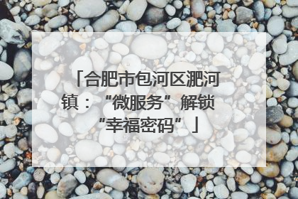 合肥市包河区淝河镇：“微服务”解锁“幸福密码”