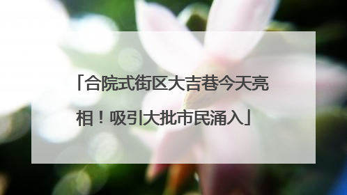 合院式街区大吉巷今天亮相！吸引大批市民涌入