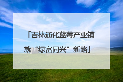 吉林通化蓝莓产业铺就“绿富同兴”新路