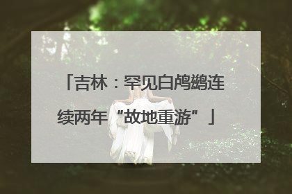 吉林：罕见白鸬鹚连续两年“故地重游”