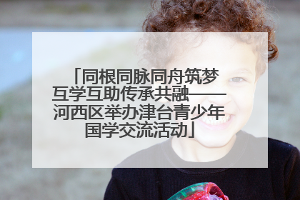 同根同脉同舟筑梦 互学互助传承共融——河西区举办津台青少年国学交流活动