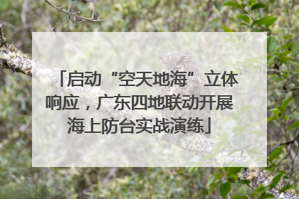 启动“空天地海”立体响应，广东四地联动开展海上防台实战演练