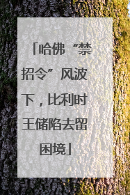 哈佛“禁招令”风波下，比利时王储陷去留困境