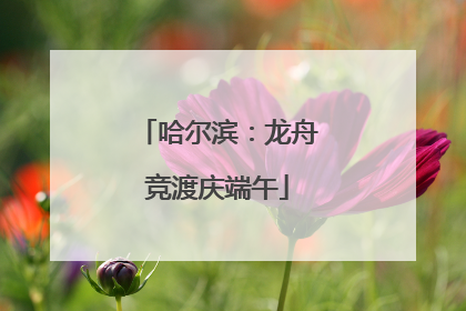 哈尔滨：龙舟竞渡庆端午
